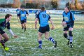 Monaghan Legends V Perennials (12)